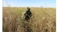 Маскировочный халат Taganrog Кикимора – купить по цене 3550 руб. в интернет-магазине в городе Челябинск картинка 13